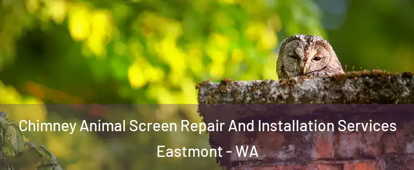 Chimney Animal Screen Repair And Installation Services Eastmont - WA