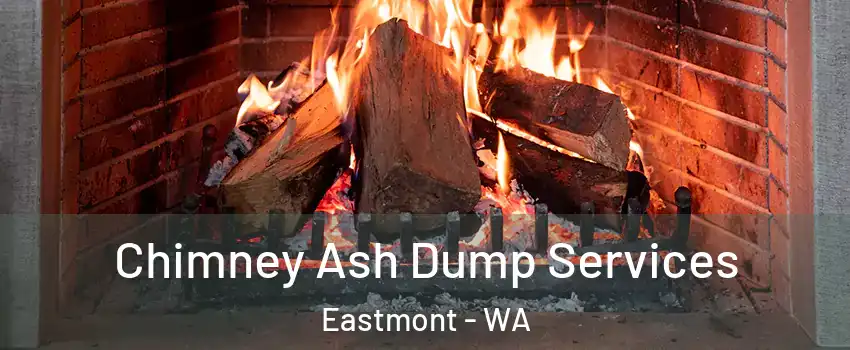  Chimney Ash Dump Services Eastmont - WA