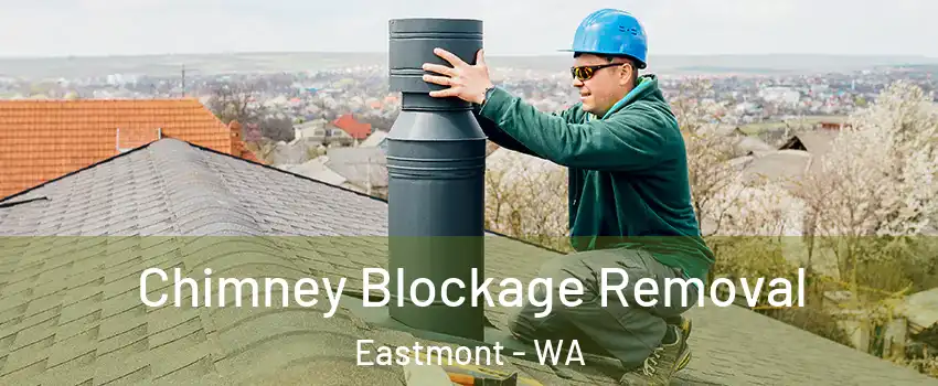  Chimney Blockage Removal Eastmont - WA