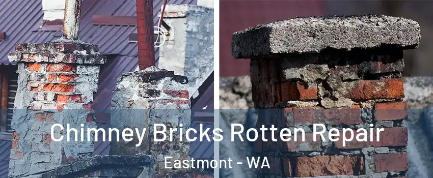  Chimney Bricks Rotten Repair Eastmont - WA