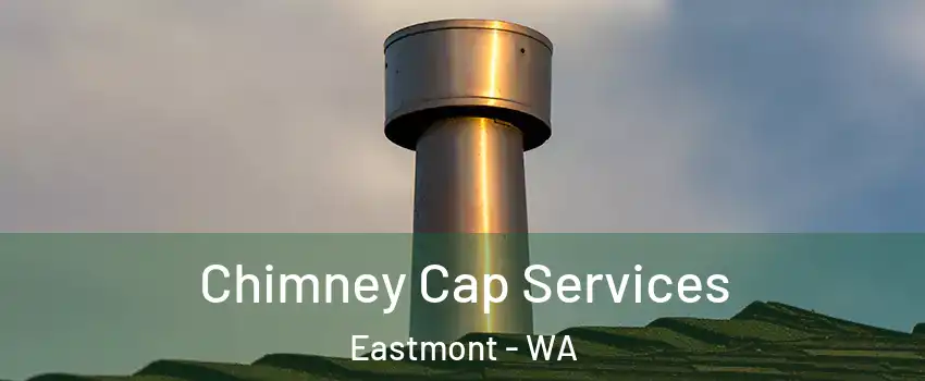  Chimney Cap Services Eastmont - WA