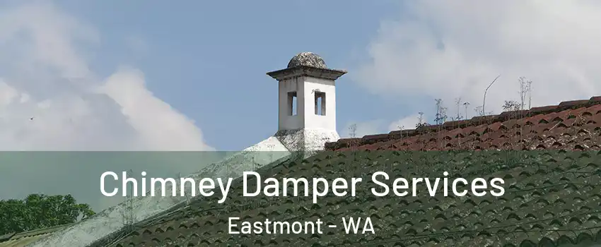  Chimney Damper Services Eastmont - WA