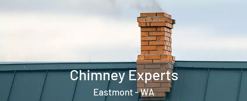  Chimney Experts Eastmont - WA