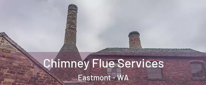  Chimney Flue Services Eastmont - WA