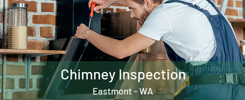  Chimney Inspection Eastmont - WA