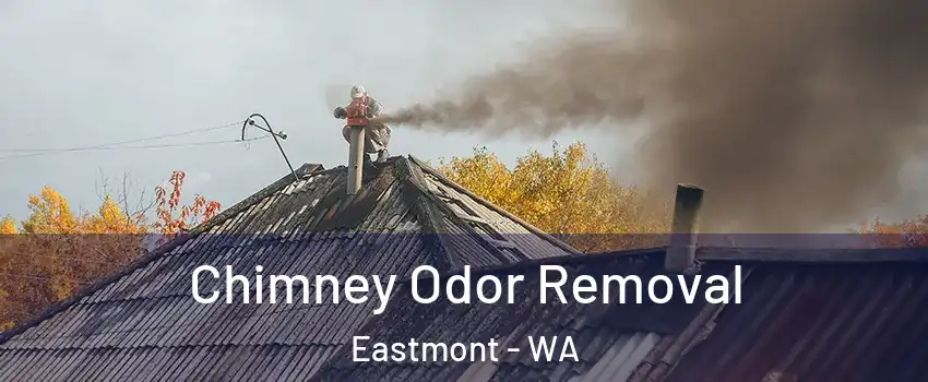  Chimney Odor Removal Eastmont - WA