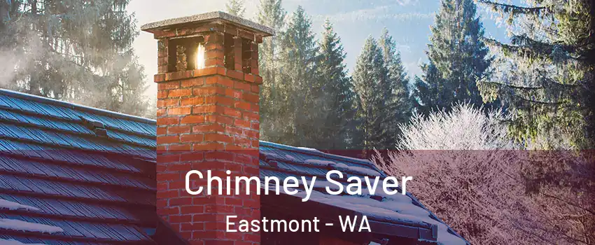  Chimney Saver Eastmont - WA