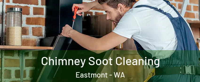  Chimney Soot Cleaning Eastmont - WA