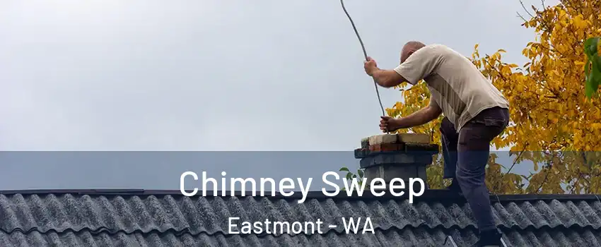  Chimney Sweep Eastmont - WA
