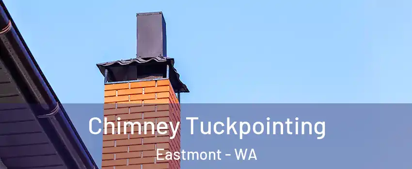  Chimney Tuckpointing Eastmont - WA