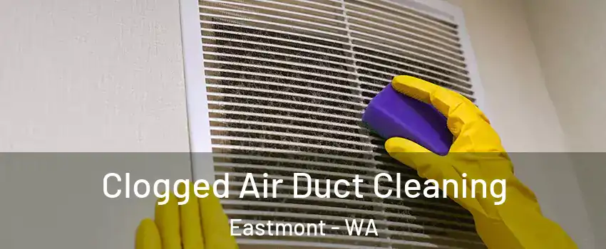  Clogged Air Duct Cleaning Eastmont - WA