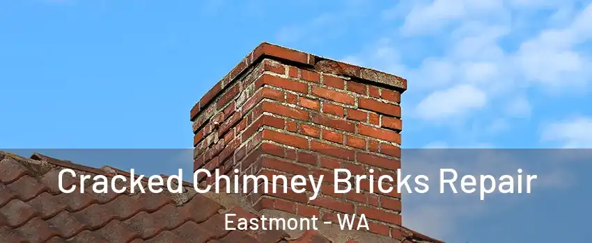  Cracked Chimney Bricks Repair Eastmont - WA