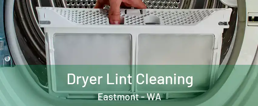  Dryer Lint Cleaning Eastmont - WA