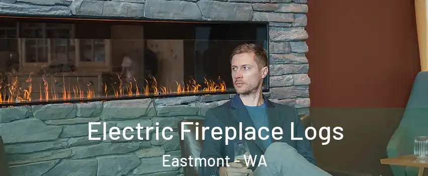 Electric Fireplace Logs Eastmont - WA
