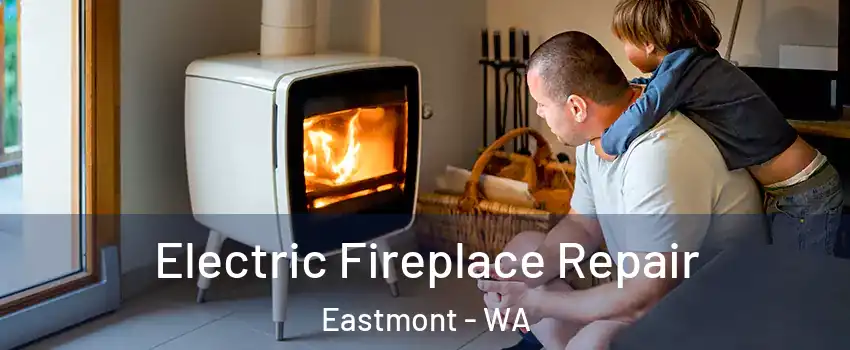  Electric Fireplace Repair Eastmont - WA