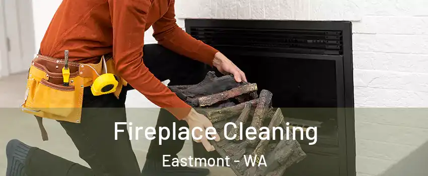  Fireplace Cleaning Eastmont - WA