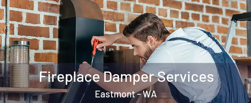  Fireplace Damper Services Eastmont - WA