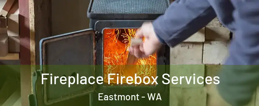  Fireplace Firebox Services Eastmont - WA