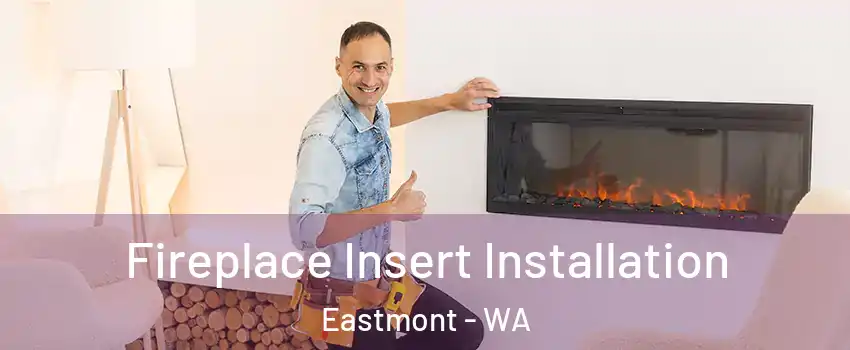  Fireplace Insert Installation Eastmont - WA