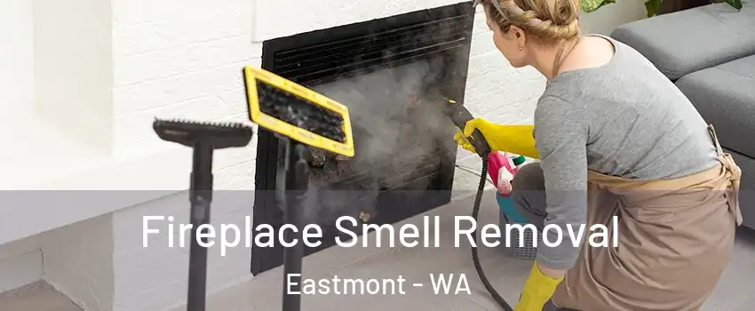  Fireplace Smell Removal Eastmont - WA