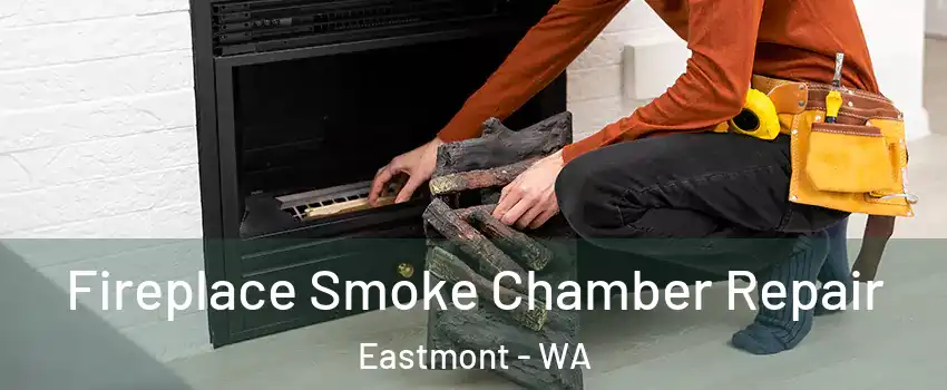  Fireplace Smoke Chamber Repair Eastmont - WA