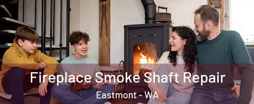  Fireplace Smoke Shaft Repair Eastmont - WA