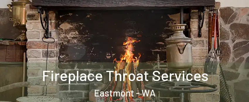  Fireplace Throat Services Eastmont - WA