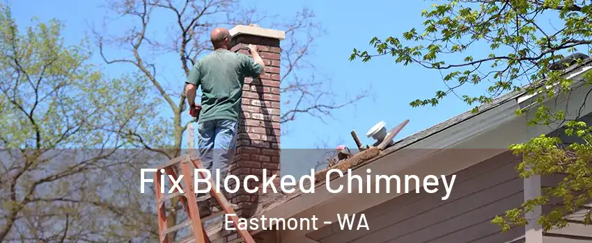  Fix Blocked Chimney Eastmont - WA
