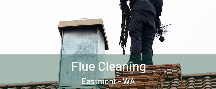  Flue Cleaning Eastmont - WA