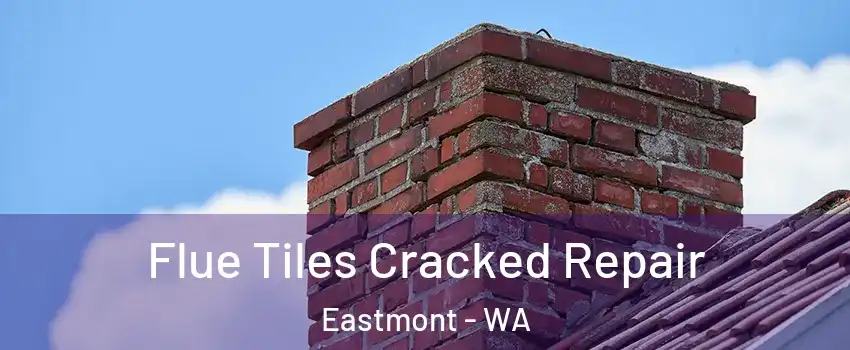  Flue Tiles Cracked Repair Eastmont - WA