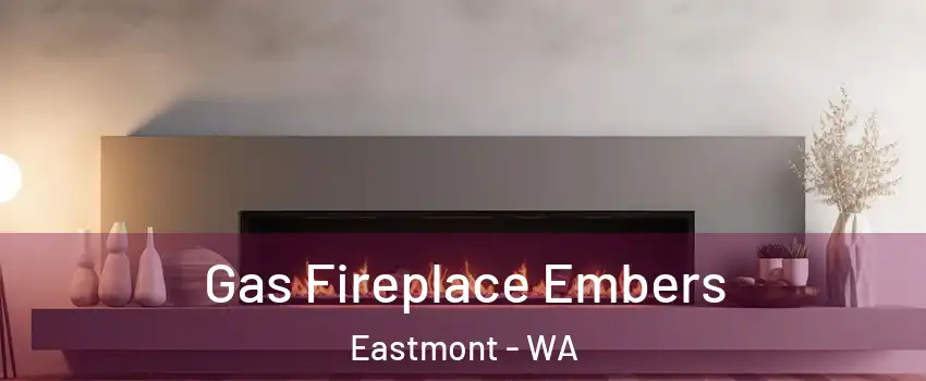  Gas Fireplace Embers Eastmont - WA