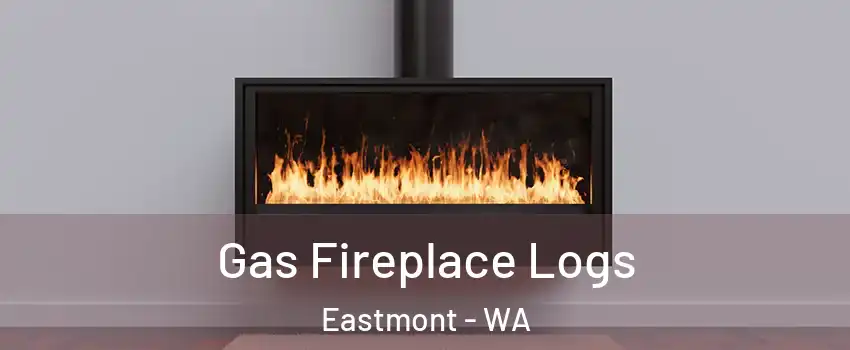  Gas Fireplace Logs Eastmont - WA