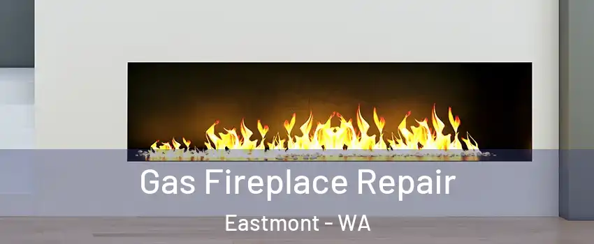  Gas Fireplace Repair Eastmont - WA