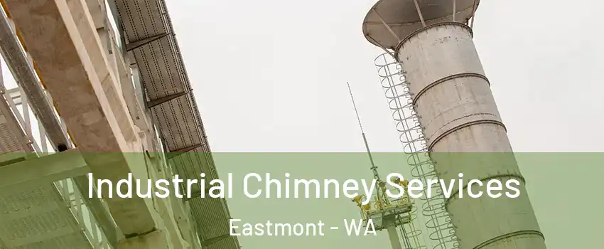  Industrial Chimney Services Eastmont - WA