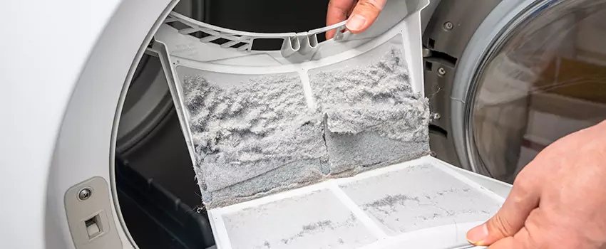Best Dryer Lint Removal Company in Eastmont, Washington