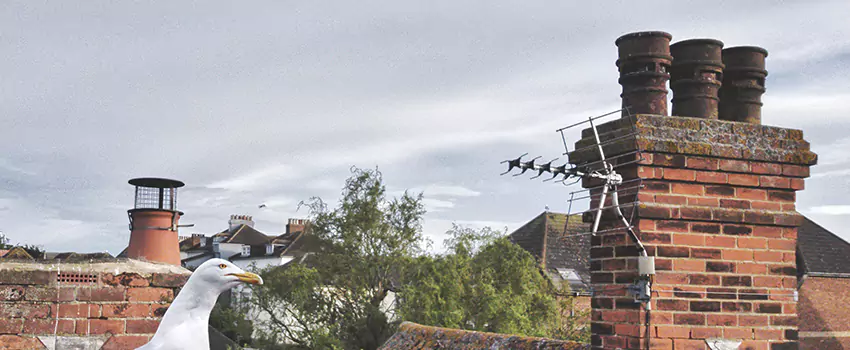 Chimney Cleaning And Restoration in Eastmont, Washington
