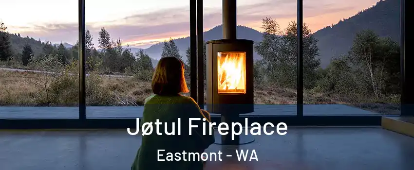  Jøtul Fireplace Eastmont - WA