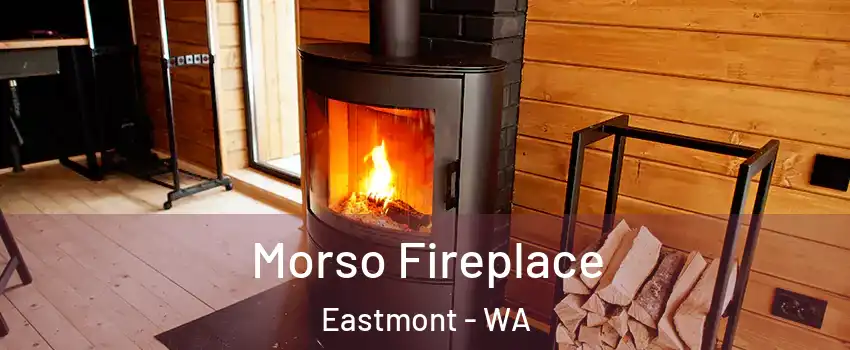  Morso Fireplace Eastmont - WA