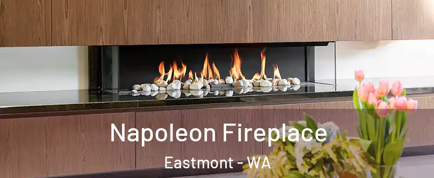  Napoleon Fireplace Eastmont - WA