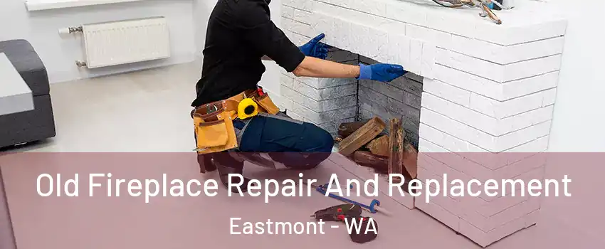  Old Fireplace Repair And Replacement Eastmont - WA