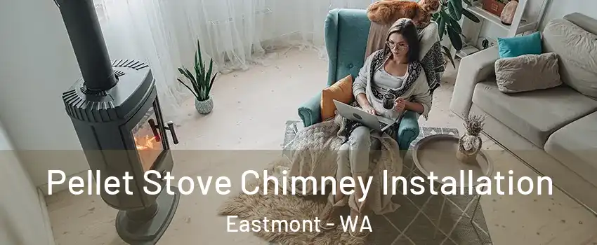  Pellet Stove Chimney Installation Eastmont - WA