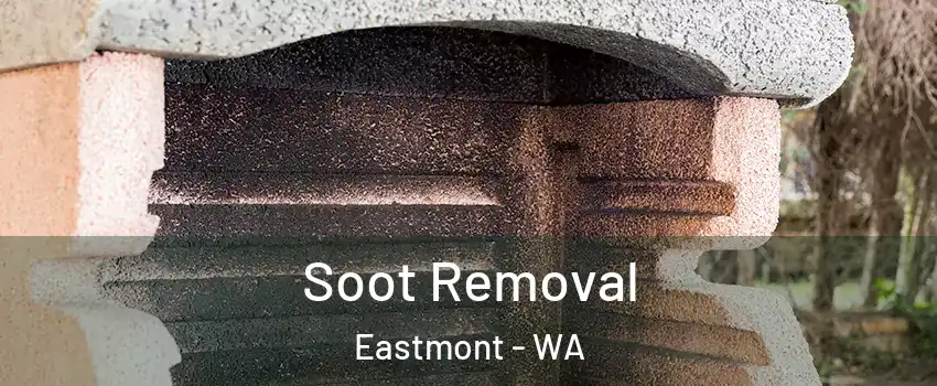  Soot Removal Eastmont - WA