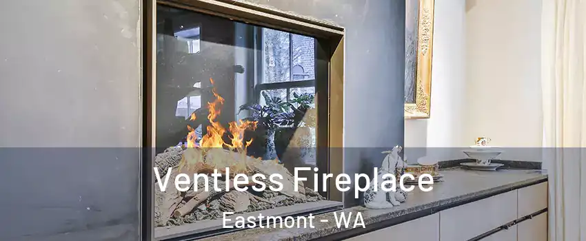 Ventless Fireplace Eastmont - WA
